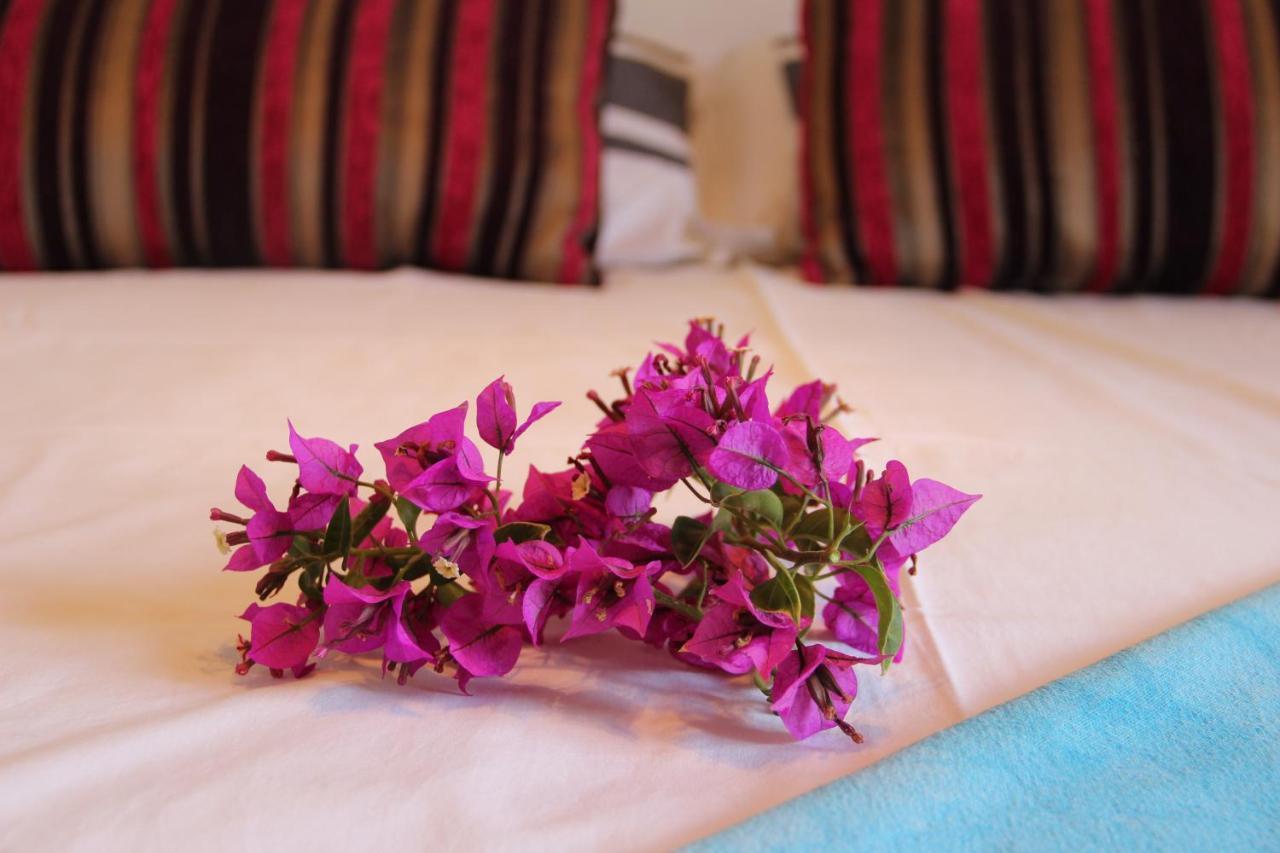 Molino De Saladilla Hotel Coín Kültér fotó